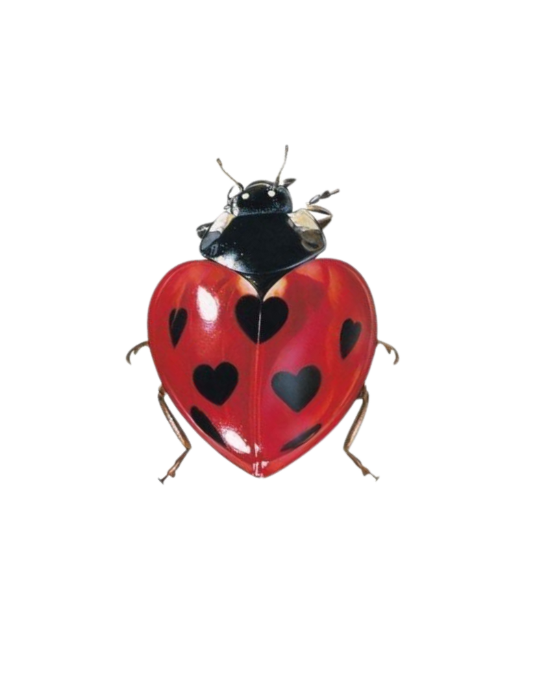 ladybug hearts