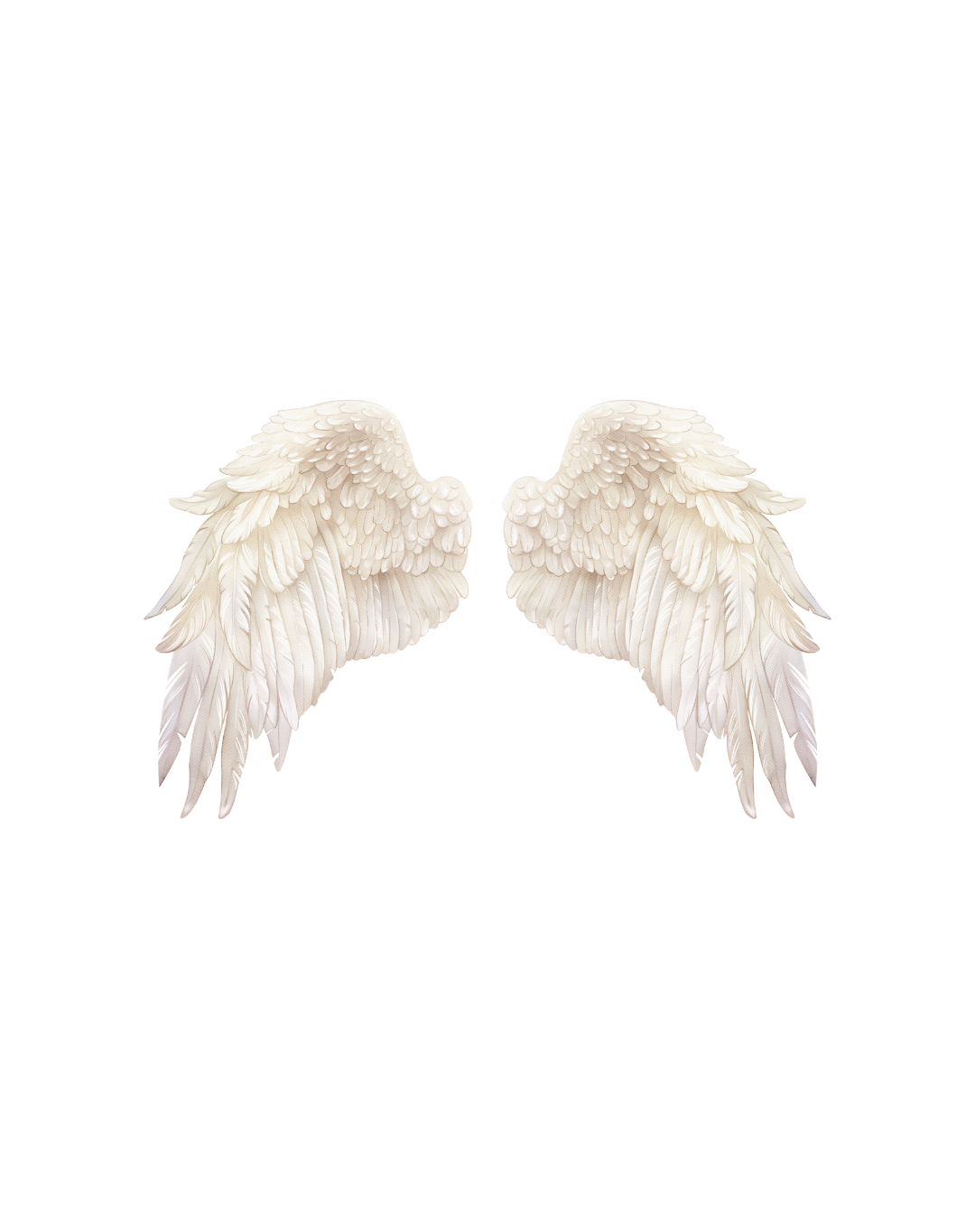 angel wings