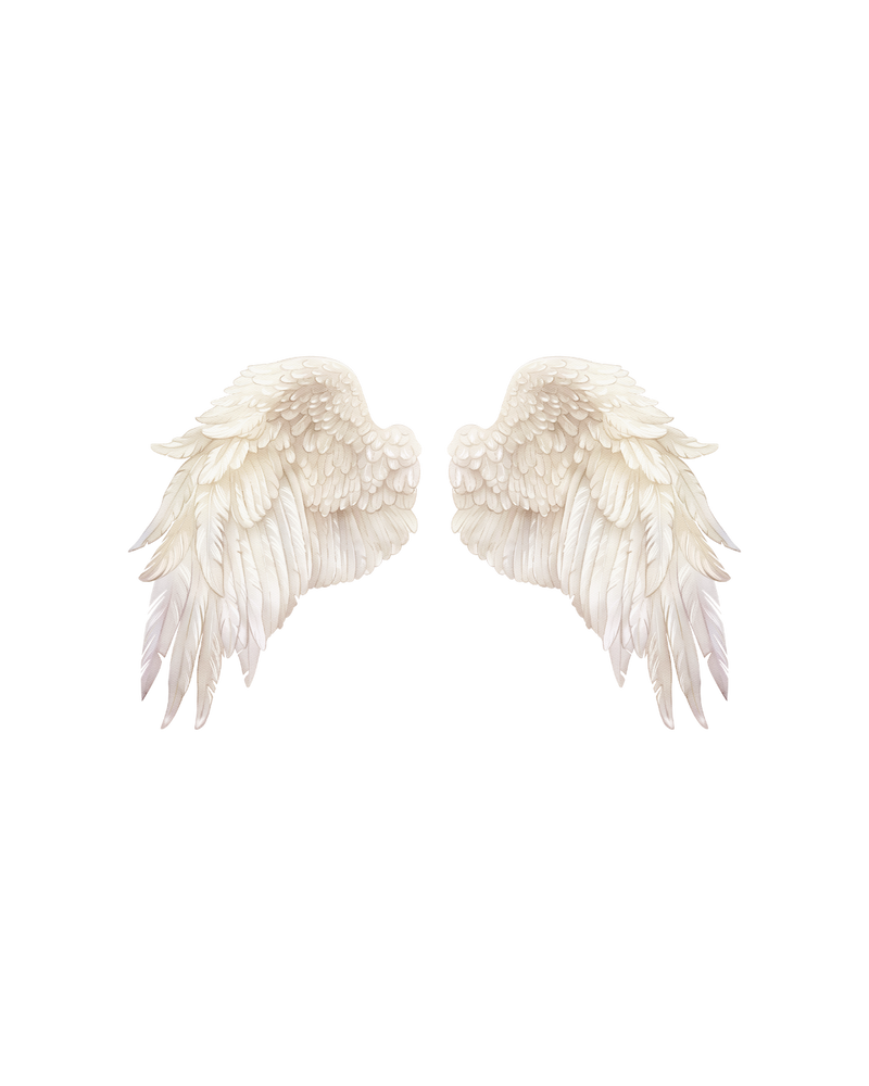 angel wings